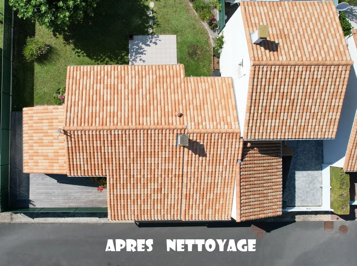 Réalisation de traitement de toiture par l